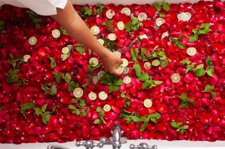 The Botanical Artisan
