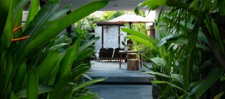 The Verdant Hideaway